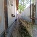Tineretului, parc Carol, teren 413 mp, 2 case, comision 0