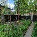 Tineretului, parc Carol, teren 413 mp, 2 case, comision 0